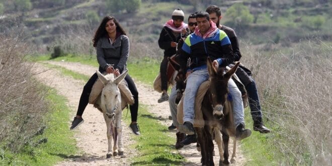طرق التوفير في المواصلات اليومية من البيت الى العمل